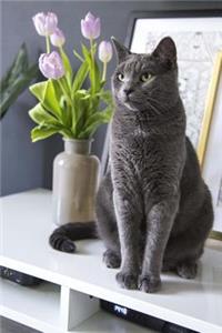 Elegant Gray Cat and a Vase of Purple Tulips Still Life Journal