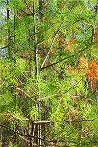 Pine Needles Spring Green Journal