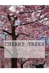 Cherry Trees