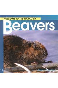 Welcome to the World of Beavers