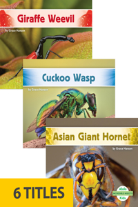 Incredible Insects (Set of 6)