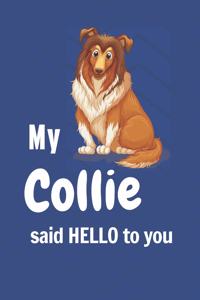 My Collie said HELLO to you