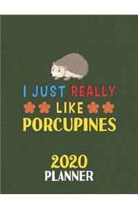 I Just Really Like Porcupines 2020 Planner