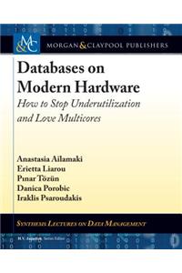 Databases on Modern Hardware