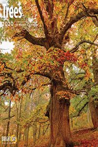 TREES WALL CALENDAR 2020