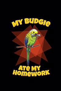 My Budgie Ate My Homework