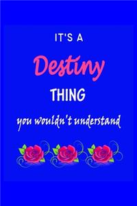 It's A Destiny Thing You Wouldn't Understand