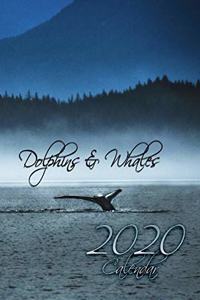Dolphins and Whales 2020 Calendar