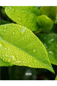 Low Vision 2020 Monthly & Weekly Planner