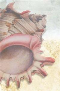 Seashell Notebook