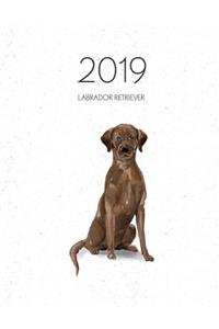 2019 Labrador Retriever: Dated Weekly Planner with to Do Notes & Dog Quotes - Brown Labrador Retriever