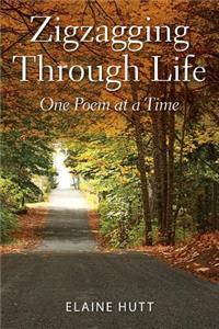 Zigzagging Through Life