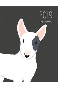 2019 Bull Terrier