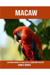 Macaw: Children Book of Fun Facts & Amazing Photos