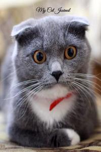 My Cat Journal