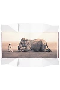 Boy Reading to Elephant