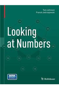 Looking at Numbers