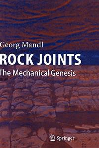 Rock Joints
