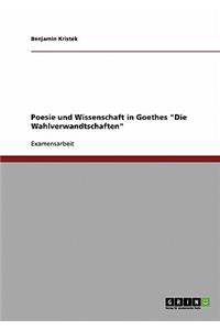 Poesie und Wissenschaft in Goethes 