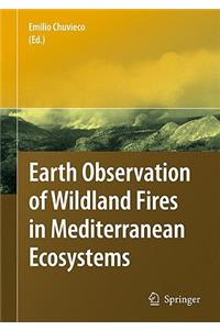 Earth Observation of Wildland Fires in Mediterranean Ecosystems