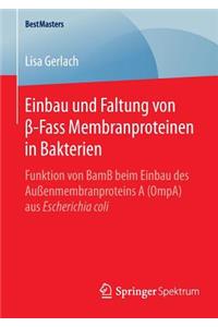 Einbau und Faltung von β-Fass Membranproteinen in Bakterien