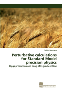 Perturbative calculations for Standard Model precision physics
