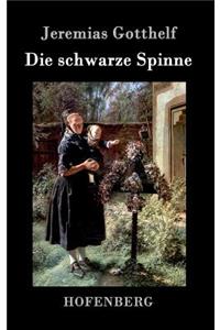 schwarze Spinne