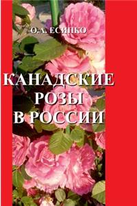 Canadian roses in Russia