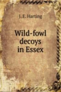Wild-fowl decoys in Essex