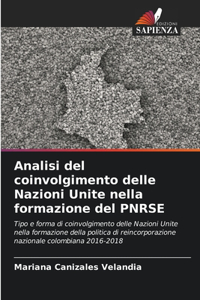 Analisi del coinvolgimento delle Nazioni Unite nella formazione del PNRSE