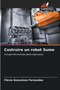 Costruire un robot Sumo