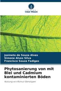 Phytosanierung von mit Blei und Cadmium kontaminierten Böden