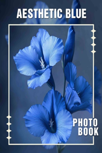 AesThetic Blue Photo Book