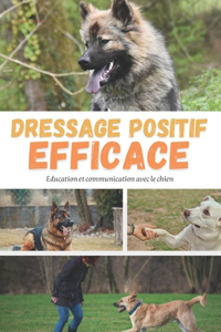 Dressage positif efficace