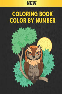 Coloring Book Color by Number New