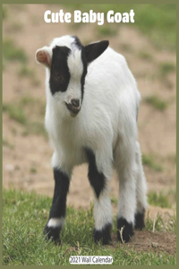 Cute Baby Goat 2021 Wall Calendar