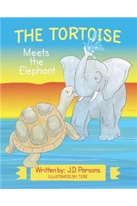 Tortoise Meets the Elephant