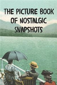 The Picture Book Of Nostalgic Snapshots