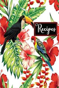 recipes