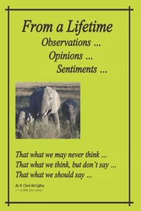 From a Lifetime - Observations, Opinions, Sentiments