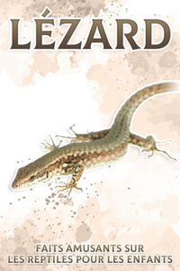 Lézard