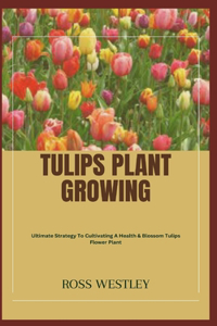 Tulips Plant Growing