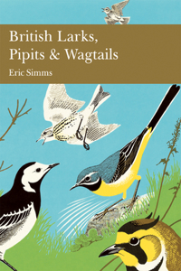 British Larks, Pipits and Wagtails: Book 78 (Collins New Naturalist Library)