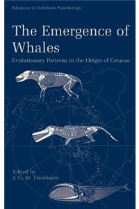 Emergence of Whales