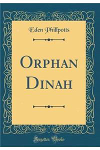 Orphan Dinah (Classic Reprint)