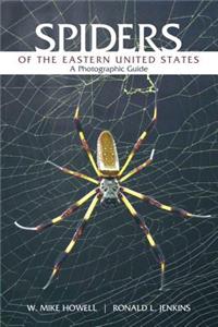 Spiders of the Eastern United States
