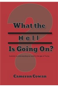 What the Hell is Going On?