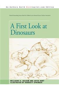 A First Look at Dinosaurs