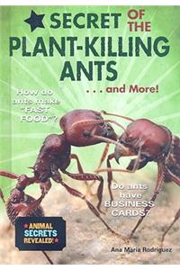 Secret of the Plant-Killing Ants... and More!