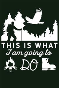 This Is What I Am Going To Do